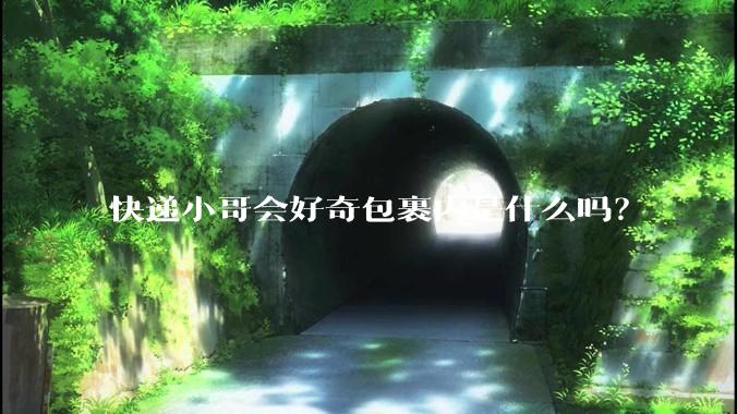 快递小哥会好奇包裹内是什么吗？